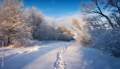 Winter Landscape With Footpath In The Snow