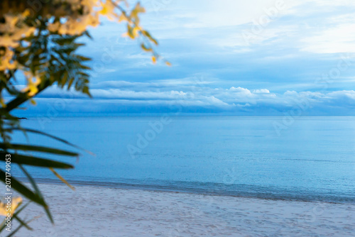 Romantic sunset. Tranquil beach scene featuring gentle ocean waves lapping at shore under cloudy sky at dusk, with tropical foliage framing view in foreground, creating apeaceful atmosphere