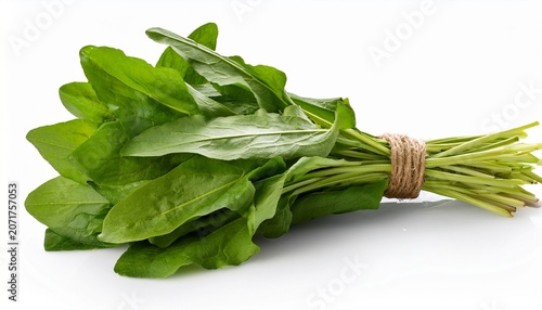 Bundle Of Fresh Sorrel Rumex Acetosa Pot Herb Isolated Png