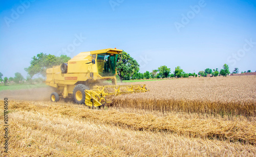 Combine harvester working on a wheat field