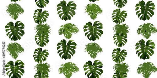 Canvastavla Monstera leaf pattern with watercolor effect on a white background repeating bot