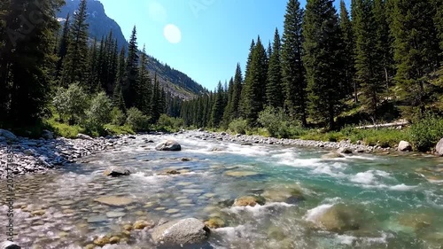 A clear mountain river flows through a dense evergreen forest