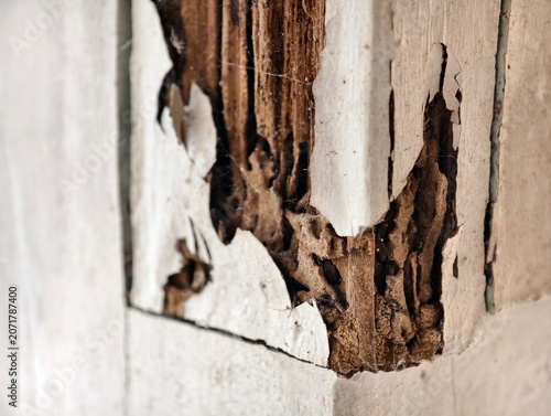 Foto A detailed close-up of a wooden structure eaten by termites