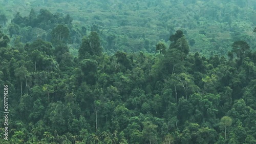 Aerial view of mountain jungle and tropical forest in Borneo. Sabah,Malaysia