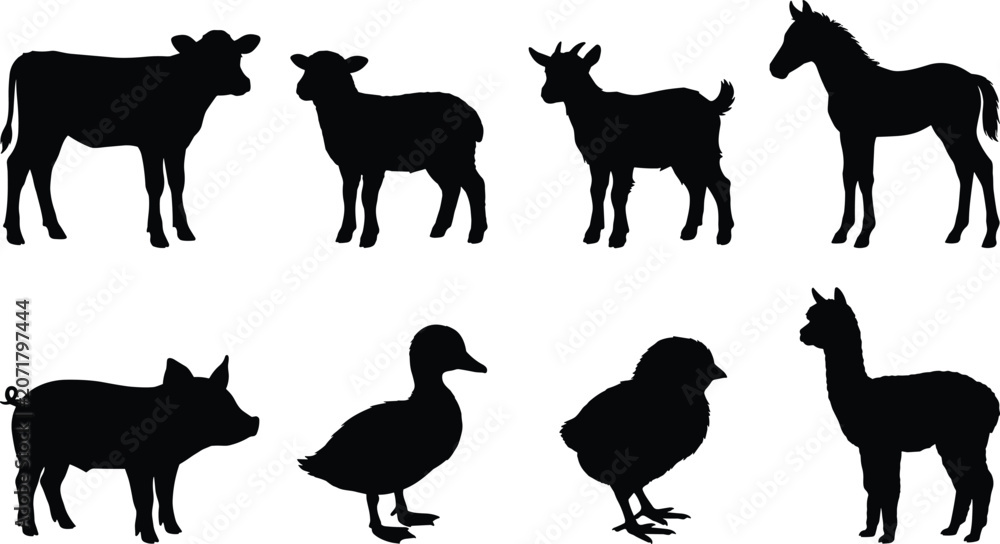 Fototapeta premium Set of baby farm animals black silhouettes including calf lamb goat kid foal piglet duckling chick and alpaca on white background