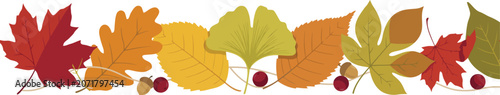 Autumn leaves border with acorns and berries in bright seasonal colors on a white background for design