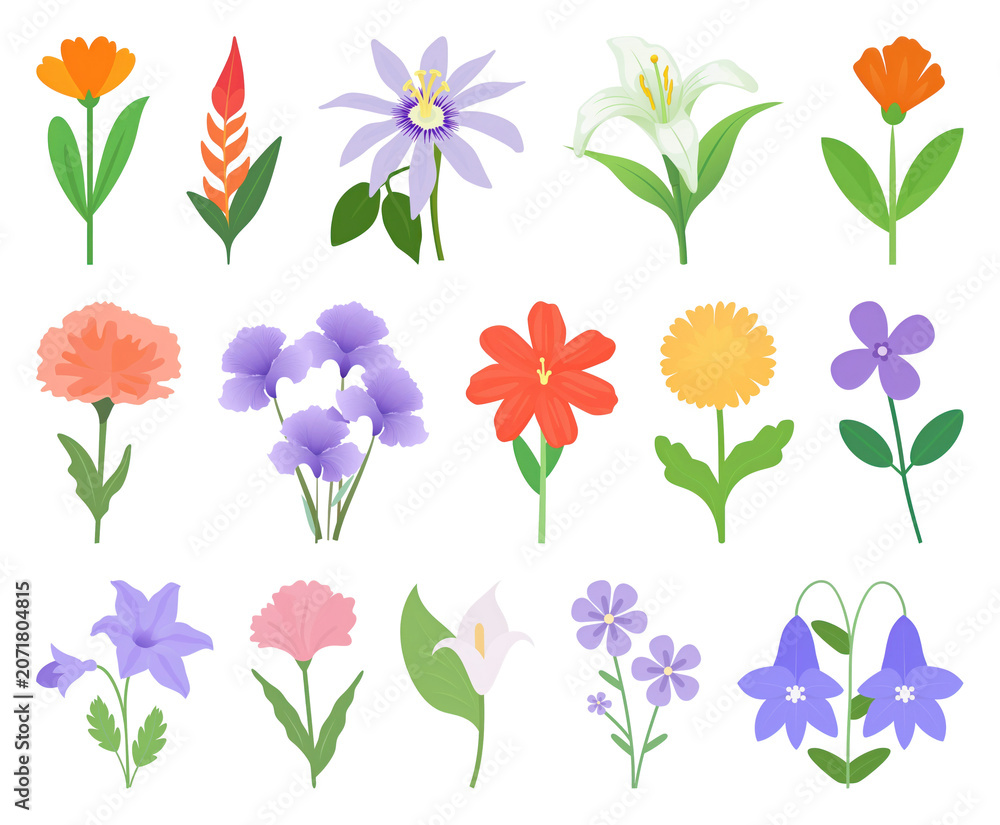 Obraz premium PNG Colorful illustrated floral collection on transparent background