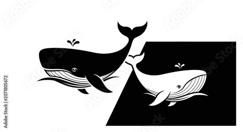 Billede på lærred Contrasting whale shapes black and white yin yang symbolism aquatic life