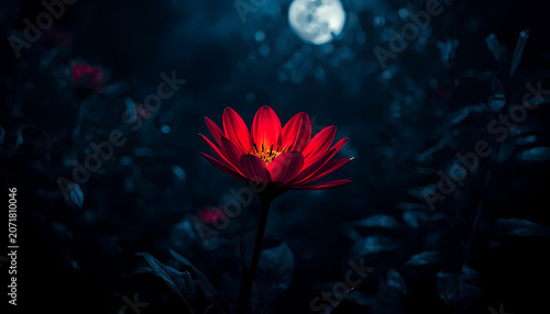 Red Glowing Poppy Flower in Dark Fantasy Landscape
