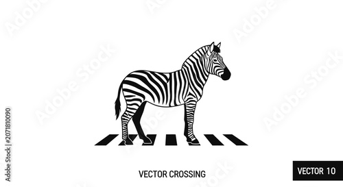 Wild zebra standing on a pedestrian crossing graphic
