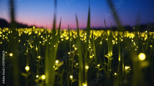 Thousands of magical fireflies illuminating a grassy field at twilight, creating a breathtaking bioluminescent spectacle