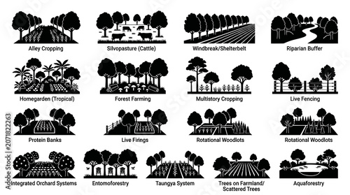 Agroforestry Systems Glyph Icons. Sustainable Agriculture, Forest Farming, and Environmental Practices