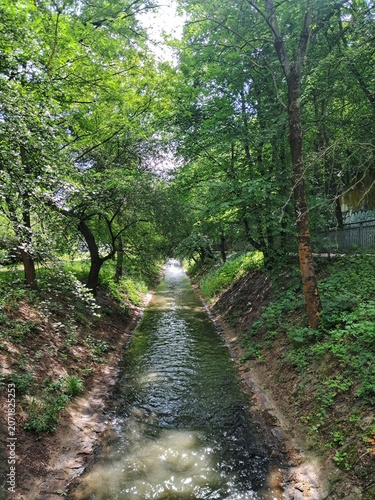 A peaceful view of the small Rokytka river flowing through a lush green forest corridor during hot summer in Prague.