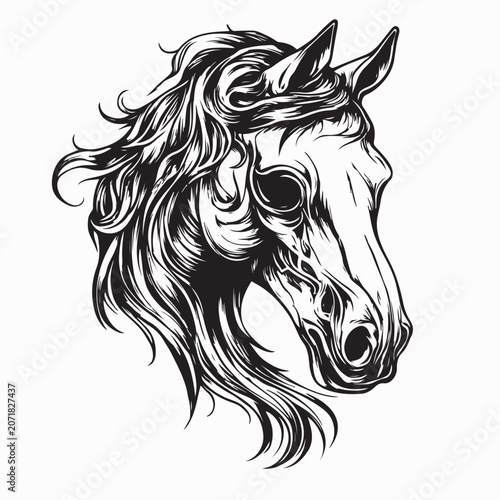 Scary Horse Skull with Long Hair Vector Illustration On White Background