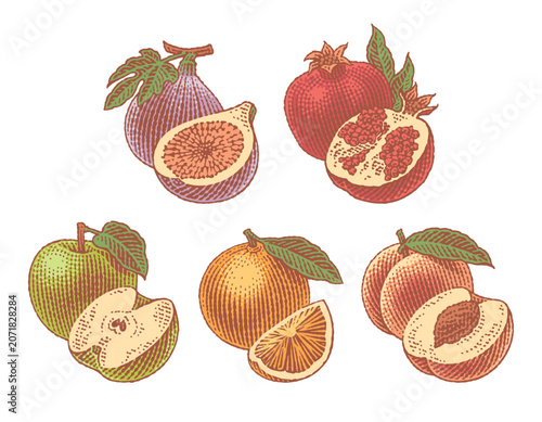 Fresh Fig, Peach, Apple, Orange and Pomegranate. Hand drawn engraving style colored illustrations.	