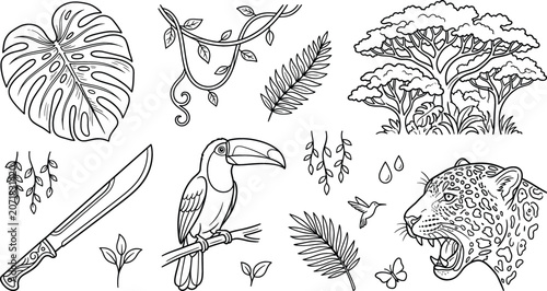 Photography Jungle rainforest wild nature traditional vector elements doodle set with jaguar