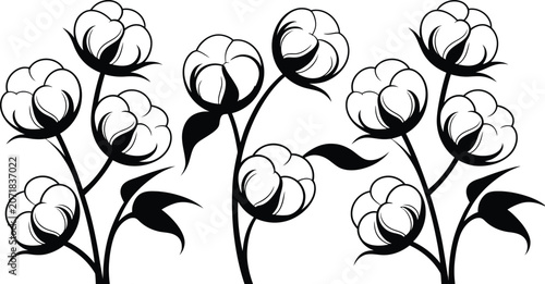 Photos Cotton plant branch vector illustration set featuring beautiful fluffy soft bolls with black line art stems on a white background