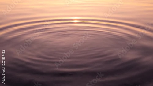 A single water ripple expands on a calm lake surface during sunset