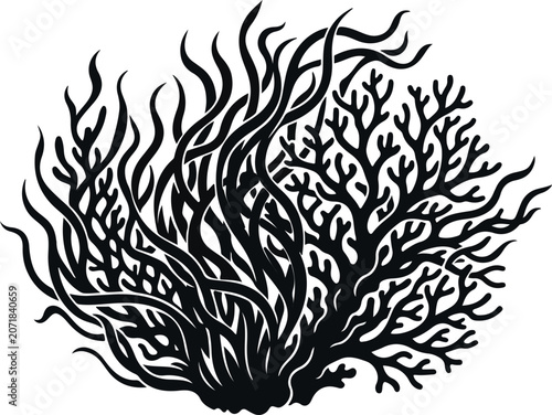 Photos Sea anemone tentacles and branching coral reef silhouette vector illustration