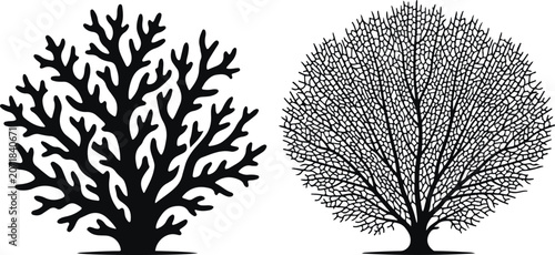 Photography Two different ocean coral reef branch silhouette vector design elements