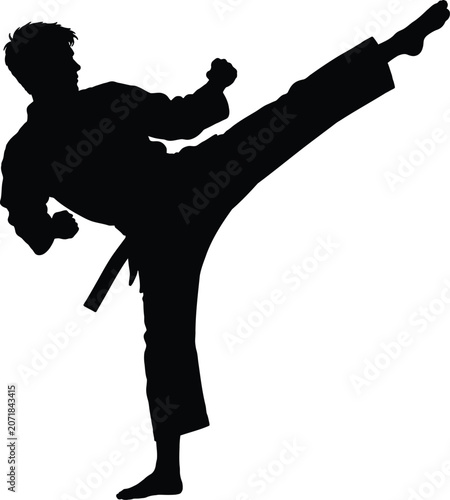 Fotografie Martial arts silhouette of a man performing a high kick