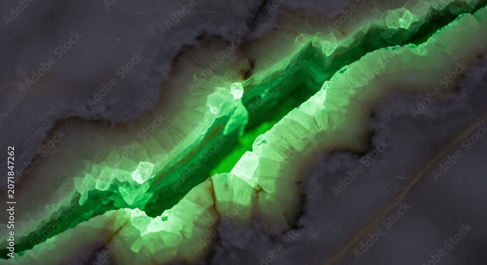 Fototapeta premium Glowing green vein abstract