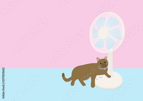 扇風機が好きな茶色猫