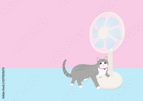 扇風機が好きな灰色猫