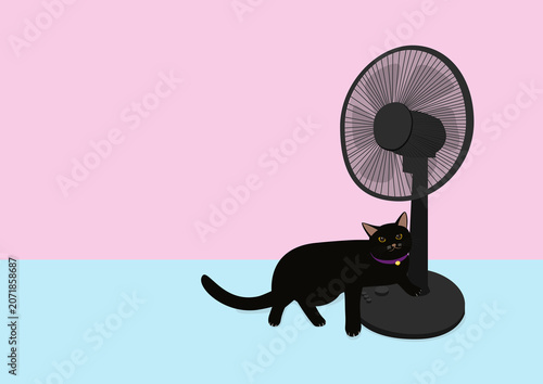 扇風機が好きな黒猫