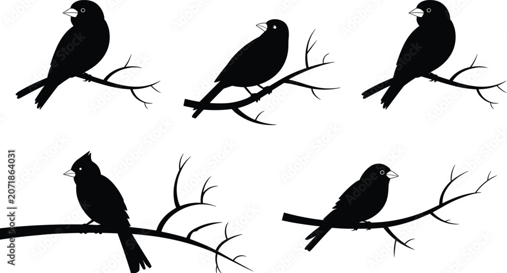 Fototapeta premium Black silhouettes of five birds perched on branches with varied postures and crest details for decorative vector nature artwork