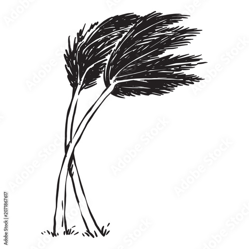 Two trees stand strong against the wind in a natural landscape setting.
