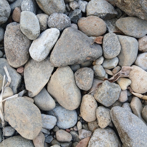 Natural river stones texture background with dry leaves on the ground