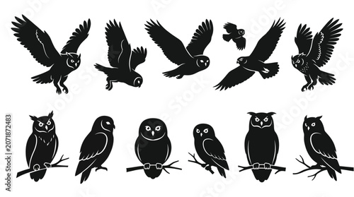 Silhouettes of Owls in Various Poses on White Background