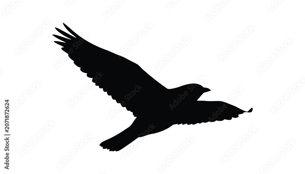 Obraz premium Black silhouette bird flying freely