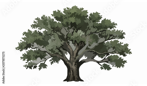 Vintage Hand Drawn Green Tree Line Art Vector Illustration Isolated