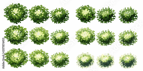 Quadro em tela Collection Of Green Tree Canopies Top down View Vector Illustration On White Bac