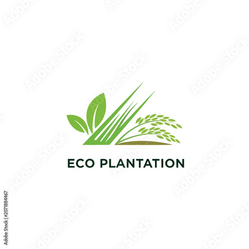 Eco friendly plantation logo with green leaves.