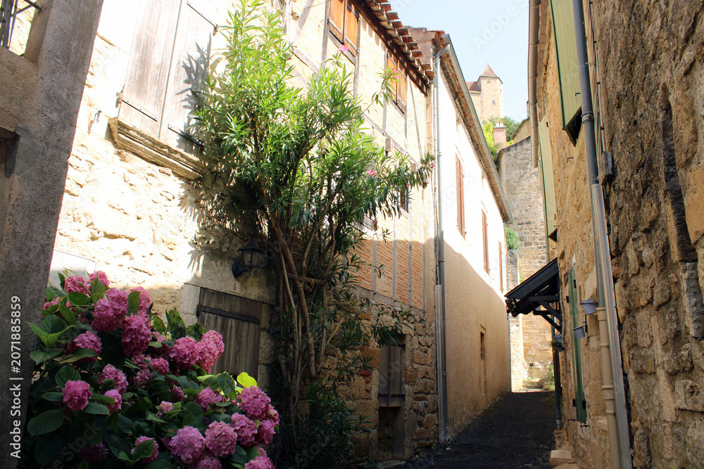 Fototapeta premium Ruelle pittoresque du village médiéval de Puy-l'Évêque
