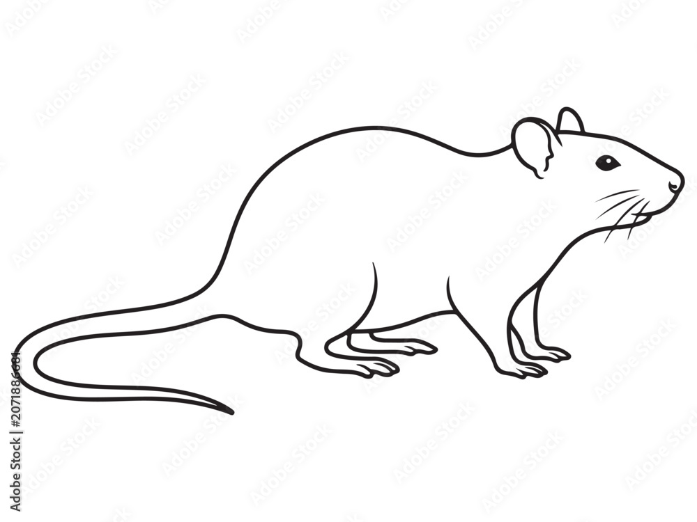 Fototapeta premium Rat Silhouette Line Art Bold Outline Small Rodent Vector Illustration