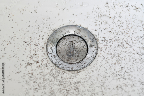 Fotografie Bartstoppeln im Waschbecken