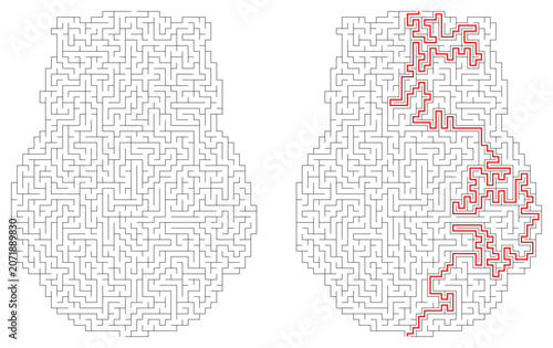 Educational owl-shaped maze puzzle with solution path showing red line