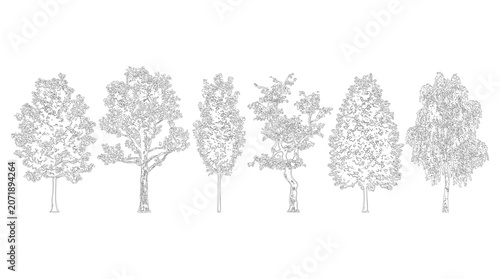 Konstfotografi Broadleaf tree illustration elevation view cutout on transparent