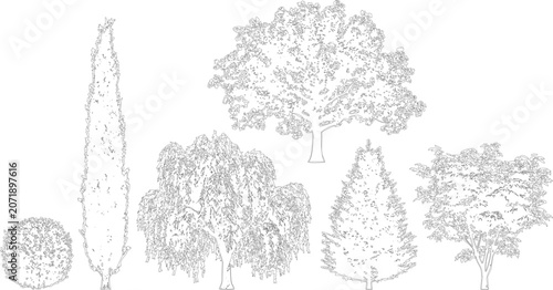 Diverse collection of ornamental garden trees in elevation view vector graphics

