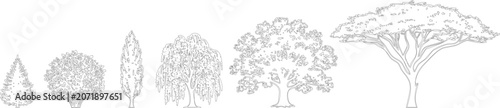 Assorted species of trees in elevation view vector for landscape architecture
