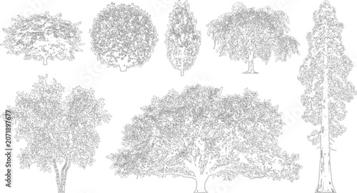 Set of various deciduous and evergreen trees in elevation view vector illustration

