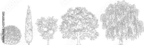 Selection of assorted garden trees in elevation view vector design elements

