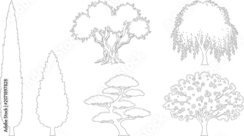 Set of stylized trees for landscape projects in elevation view vector format

