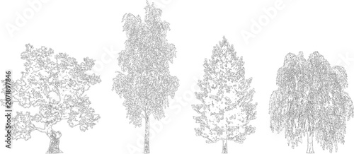 Assorted deciduous and evergreen trees in elevation view vector for landscaping

