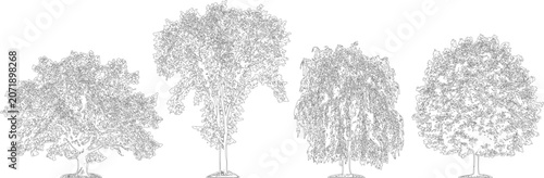 Four detailed deciduous tree silhouettes in elevation view vector for site planning

