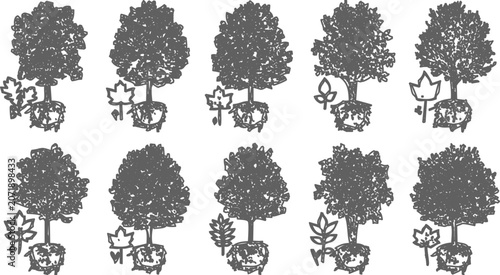 Ten small tree saplings in elevation view vector with root systems for planting

